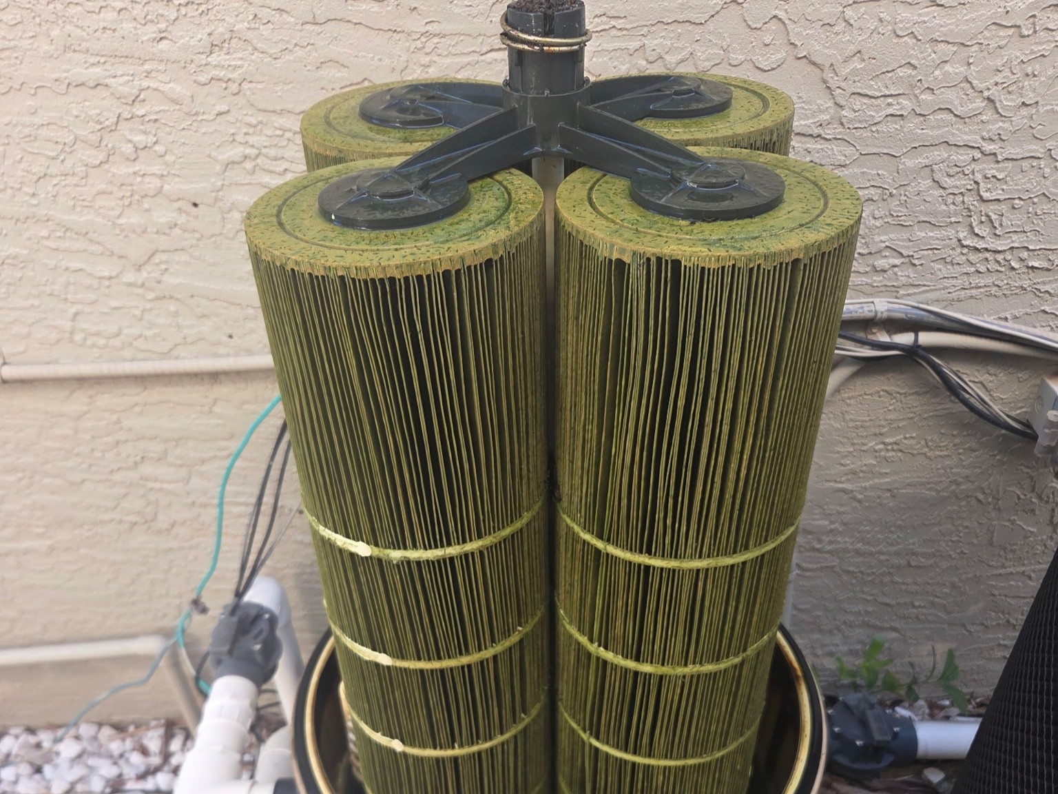 boynton beach pool filters clogged green algae