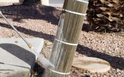 Clean or Replace My Royal Palm Beach Pool Filter?