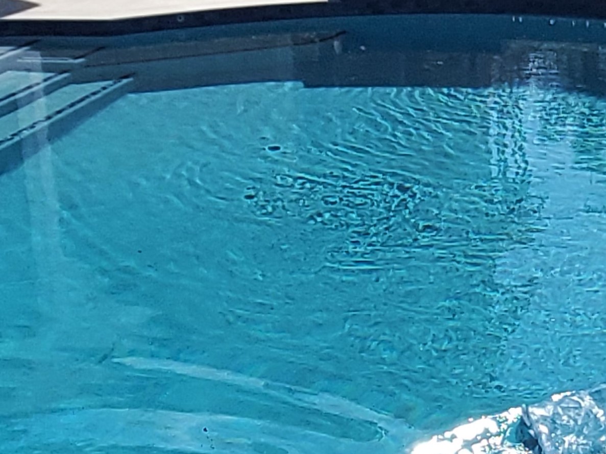 fort lauderdale pool cleaning service