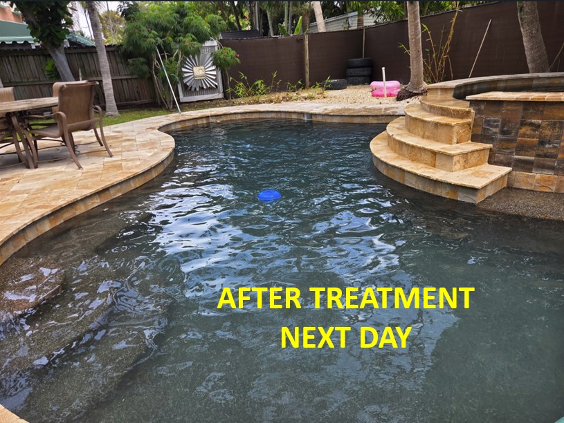 lake worth green pool now clean after treatment