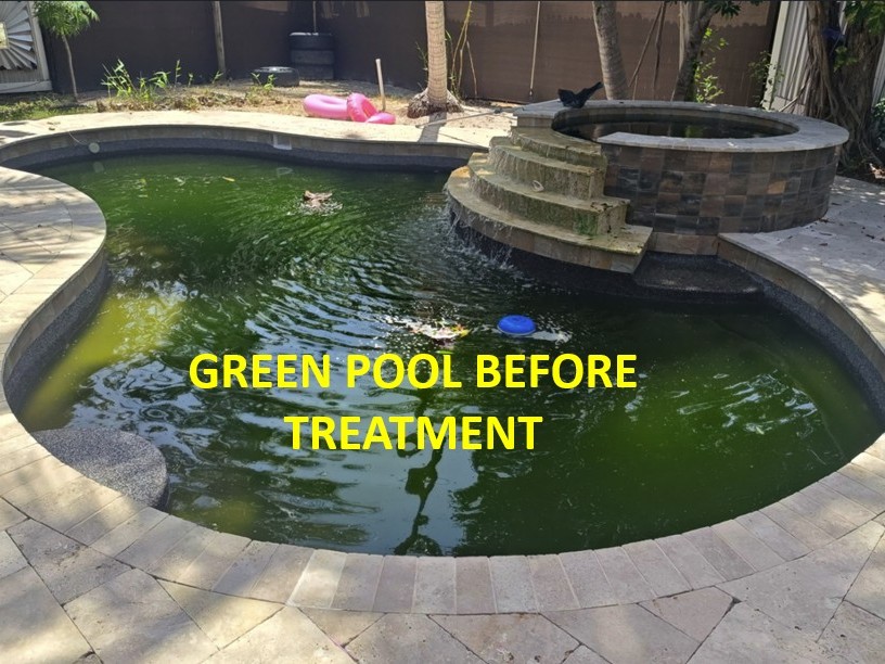 lake worth green pool before treatment