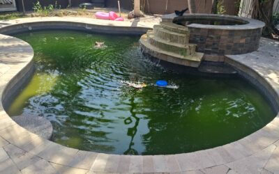 Green Pool After Heavy Rain? Lake Worth Pool Cleaning | The Pool Butler