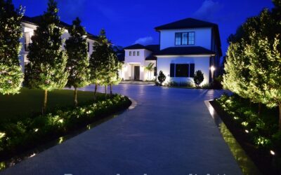 Pool, Patio, and Landscape Lighting