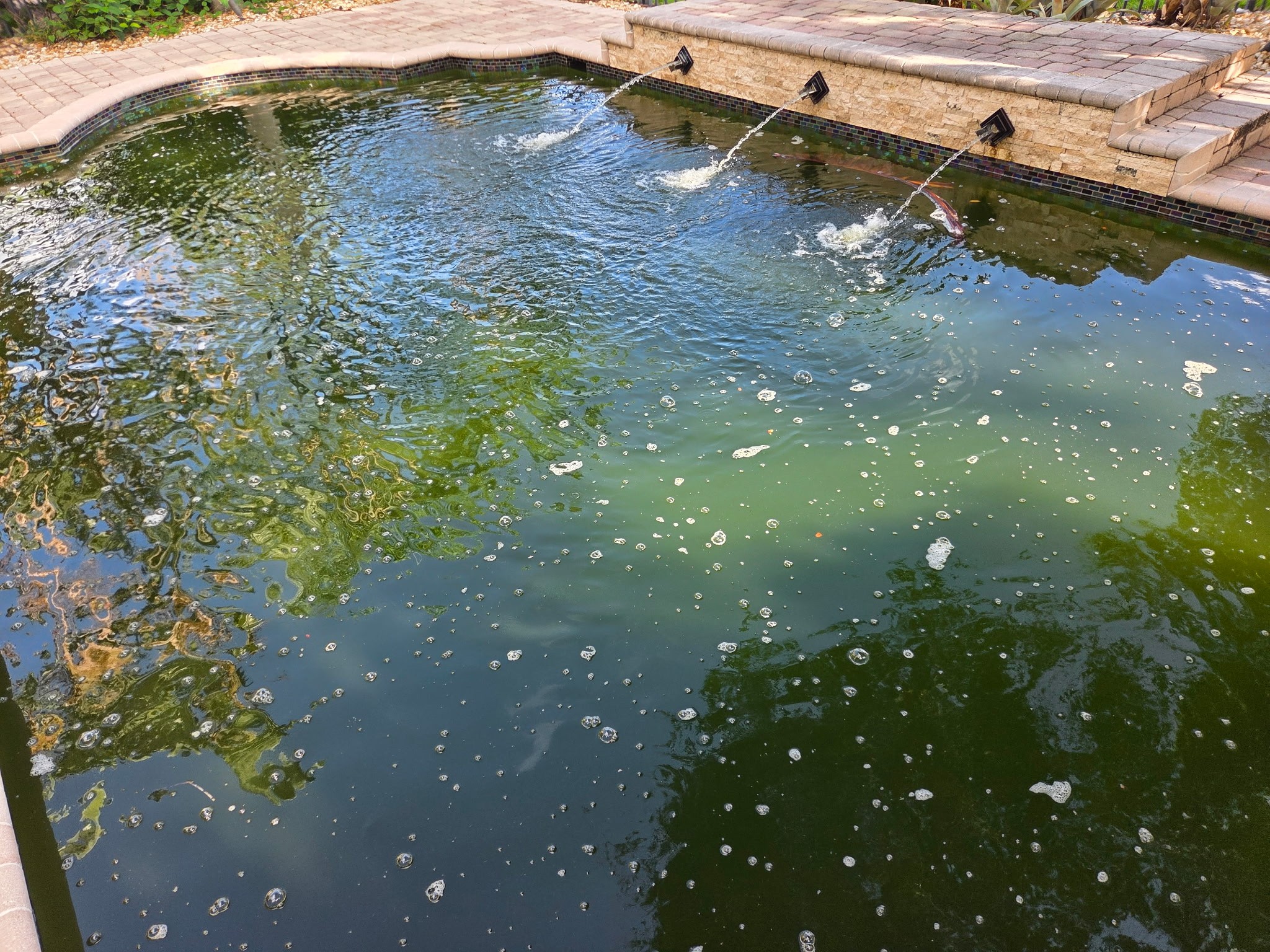 treat green pool algae boynton beach